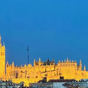 Loft R. Argentina Sevilla